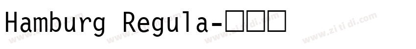 Hamburg Regula字体转换